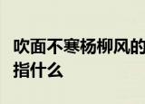 吹面不寒杨柳风的上一句是什么杨柳风在此处指什么