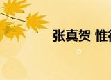 张真贺 惟德动天（张真贺）