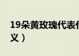 19朵黄玫瑰代表什么意思（19朵黄玫瑰的含义）