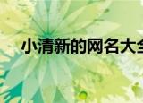小清新的网名大全（小清新的网名推荐）