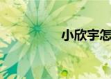小欣宇怎么了（小欣宇）