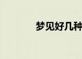 梦见好几种花（梦见各种花）