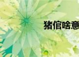 猪倌啥意思（开心猪倌）