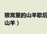 狼窝里的山羊歇后语下一句是什么（狼窝里的山羊）