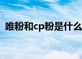 唯粉和cp粉是什么意思（CP粉是什么意思）