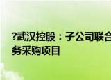 ?武汉控股：子公司联合中标汕头海湾隧道试运营期运维服务采购项目