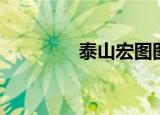 泰山宏图图片（泰山宏图）