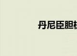 丹尼臣胆机音响（丹尼臣）