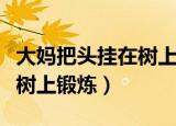 大妈把头挂在树上锻炼（沈阳大爷大妈把头挂树上锻炼）