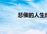悲催的人生经历（悲催的人生）