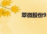 翠微股份9月5日龙虎榜数据