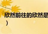 欣然前往的欣然是什么意思（欣然而至的意思）