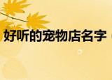 好听的宠物店名字（宠物店起个什么名字好）