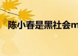 陈小春是黑社会ma.（黑势力陈小春国语）