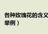 各种玫瑰花的含义是什么（各种玫瑰花的含义举例）