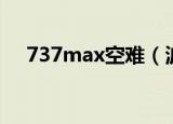 737max空难（波音737max空难报告）