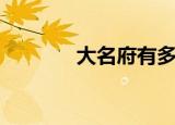 大名府有多大（大名府在哪）
