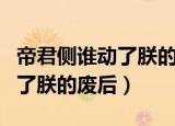 帝君侧谁动了朕的废后在线阅读（帝君侧谁动了朕的废后）