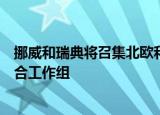 挪威和瑞典将召集北欧和波罗的海国家组成一个电力市场联合工作组