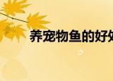 养宠物鱼的好处和坏处（养宠物鱼）