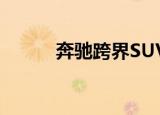 奔驰跨界SUV将于明年首次亮相