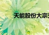 天能股份大宗交易成交538.85万元