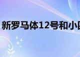 新罗马体12号和小四是一样的吗（新罗马体）