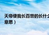 天帝使我长百兽的长什么意思（天帝使我长百兽的长是什么意思）