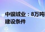 中银绒业：8万吨磷酸铁锂项目尚不具备开工建设条件