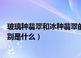 玻璃种翡翠和冰种翡翠的区别（玻璃种翡翠和冰种翡翠的区别是什么）