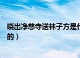晓出净慈寺送林子方是什么季节（晓出净慈寺送林子方谁写的）