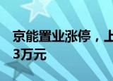 京能置业涨停，上榜营业部合计净卖出163.13万元