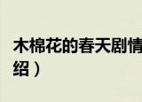 木棉花的春天剧情简介（木棉花的春天剧情介绍）