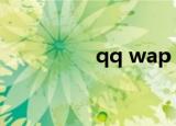 qq wap（wapqq登陆）