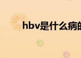 hbv是什么病的简称（hbv的解释）
