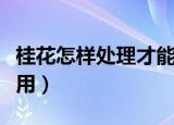 桂花怎样处理才能食用（桂花怎么处理才能食用）