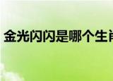 金光闪闪是哪个生肖（金光闪闪打一个生肖）