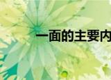 一面的主要内容（文章太好看了）