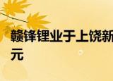 赣锋锂业于上饶新设全资子公司 注册资本1亿元