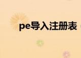 pe导入注册表（pes6注册表导入器）