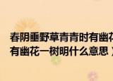春阴垂野草青青时有幽花一树明的意思（春阴垂野草青青时有幽花一树明什么意思）