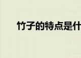 竹子的特点是什么（竹子有什么特点）