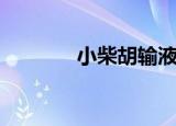 小柴胡输液（小柴胡注射液）