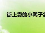 街上卖的小鸭子怎么养（小鸭子怎么养）