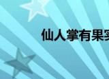 仙人掌有果实吗（仙人掌介绍）