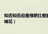 知否知否应是绿肥红瘦的红瘦是什么花（绿肥红瘦的红瘦是啥花）