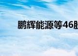 鹏辉能源等46股近五日获机构净买入