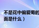 不是花中偏爱菊的下一句（不是花中偏爱菊后面是什么）