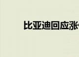 比亚迪回应涨价传闻：为不实信息