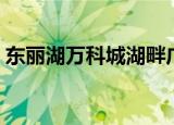 东丽湖万科城湖畔广场（东丽湖万科城溪岸）